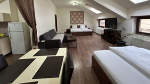 A compact, well-lit room with a kitchenette, a sofa, a bed, and a television. - Vila Alma (Baile Felix)