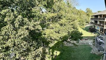 A building with a multi-story structure, a grassy yard, and trees.