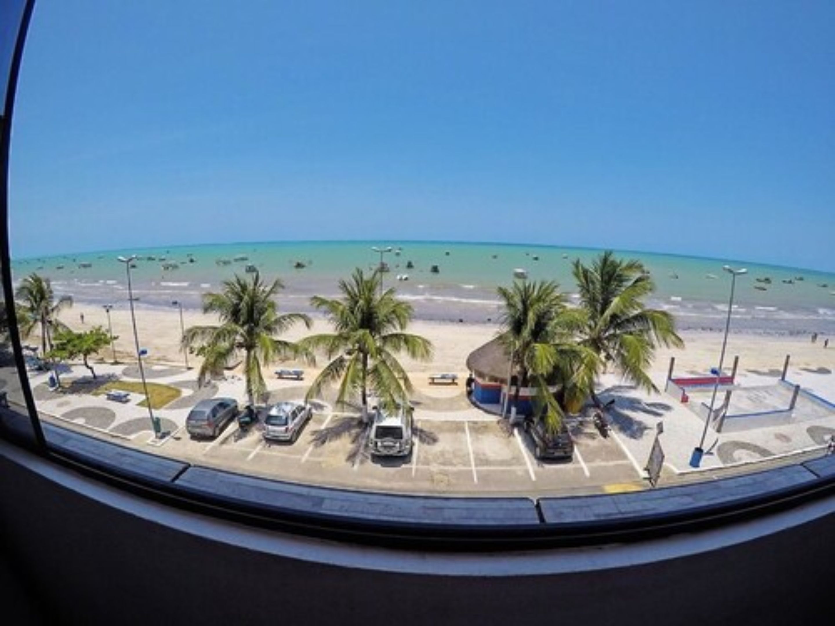 A beach view from a window with parked cars and palm trees.