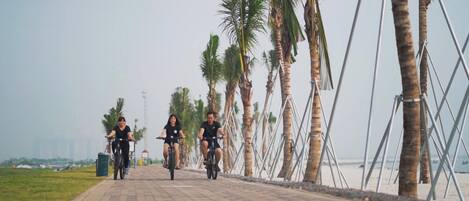 A paved pathway lined with palm trees and metal railings, leading towards a body of water.
