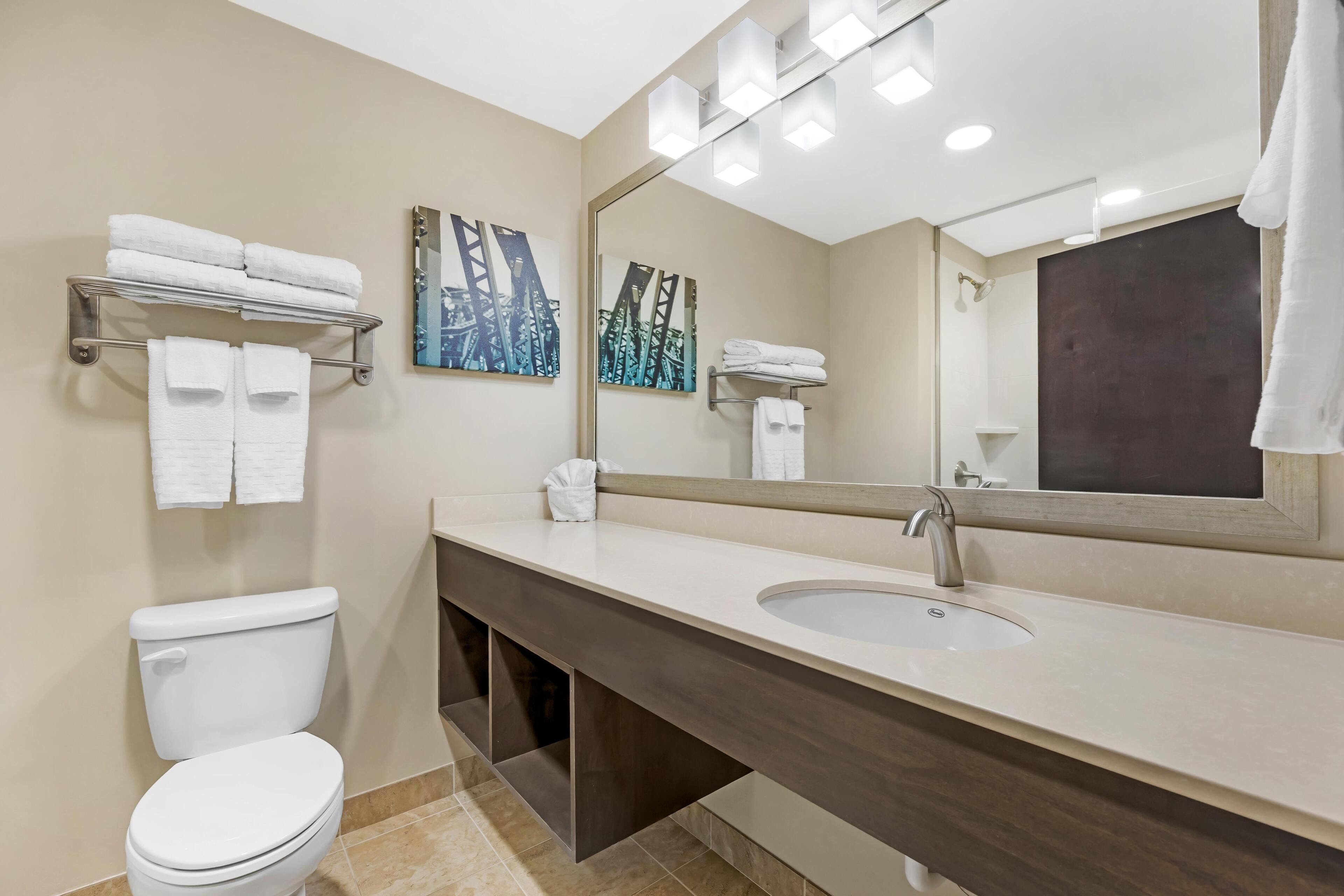 Suite, 1 King Bed, Non Smoking, Refrigerator & Microwave (with Sofabed) | Bathroom | Free toiletries, hair dryer, towels, soap