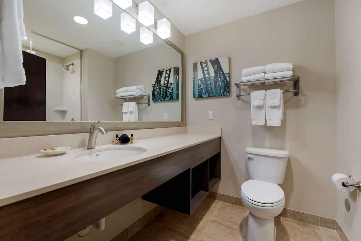 free toiletries, hair dryer, towels, soap