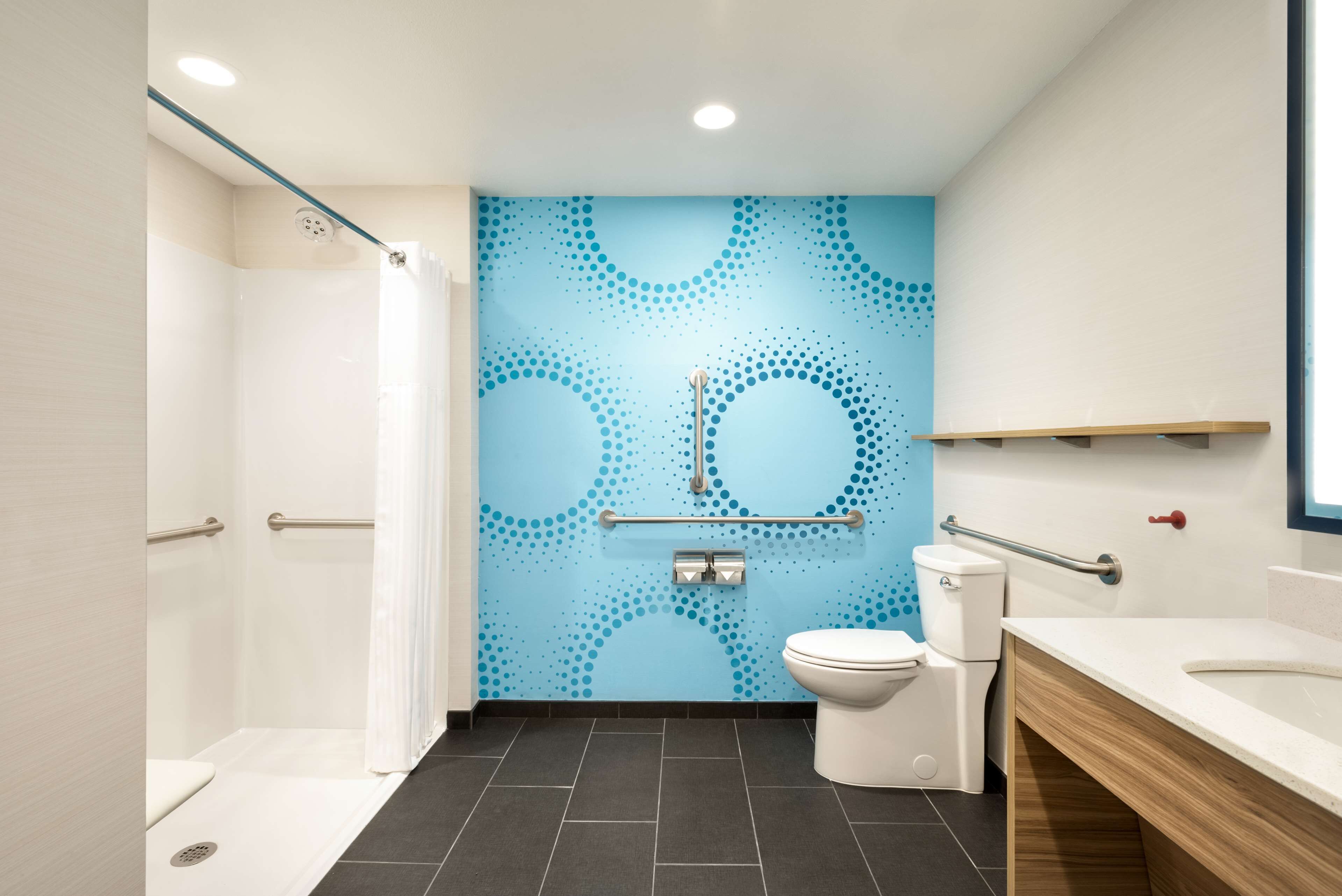 room, 1 king bed, accessible (hearing, roll-in shower) | bathroom shower