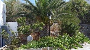 A garden with a palm tree, a stone wall, and a lamp post. - Paraporti Hotel (Folegandros)