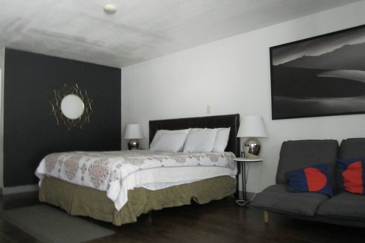 Standard Single Room, 1 King Bed | 1 bedroom, premium bedding, desk, blackout curtains