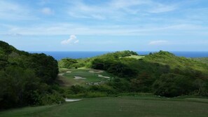 View from property - Ocho Rios Villa at Coolshade XI (St. Ann's Bay)