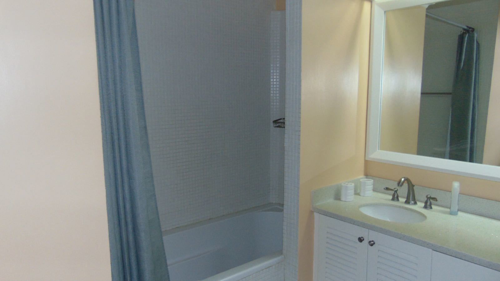 Une salle de bain avec une douche, un lavabo et un miroir.