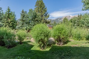 Property grounds - Snowcreek 464 - Phase III (Mammoth Lakes)