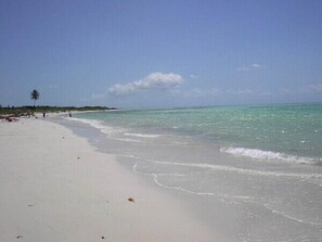 مناشف للشاطئ