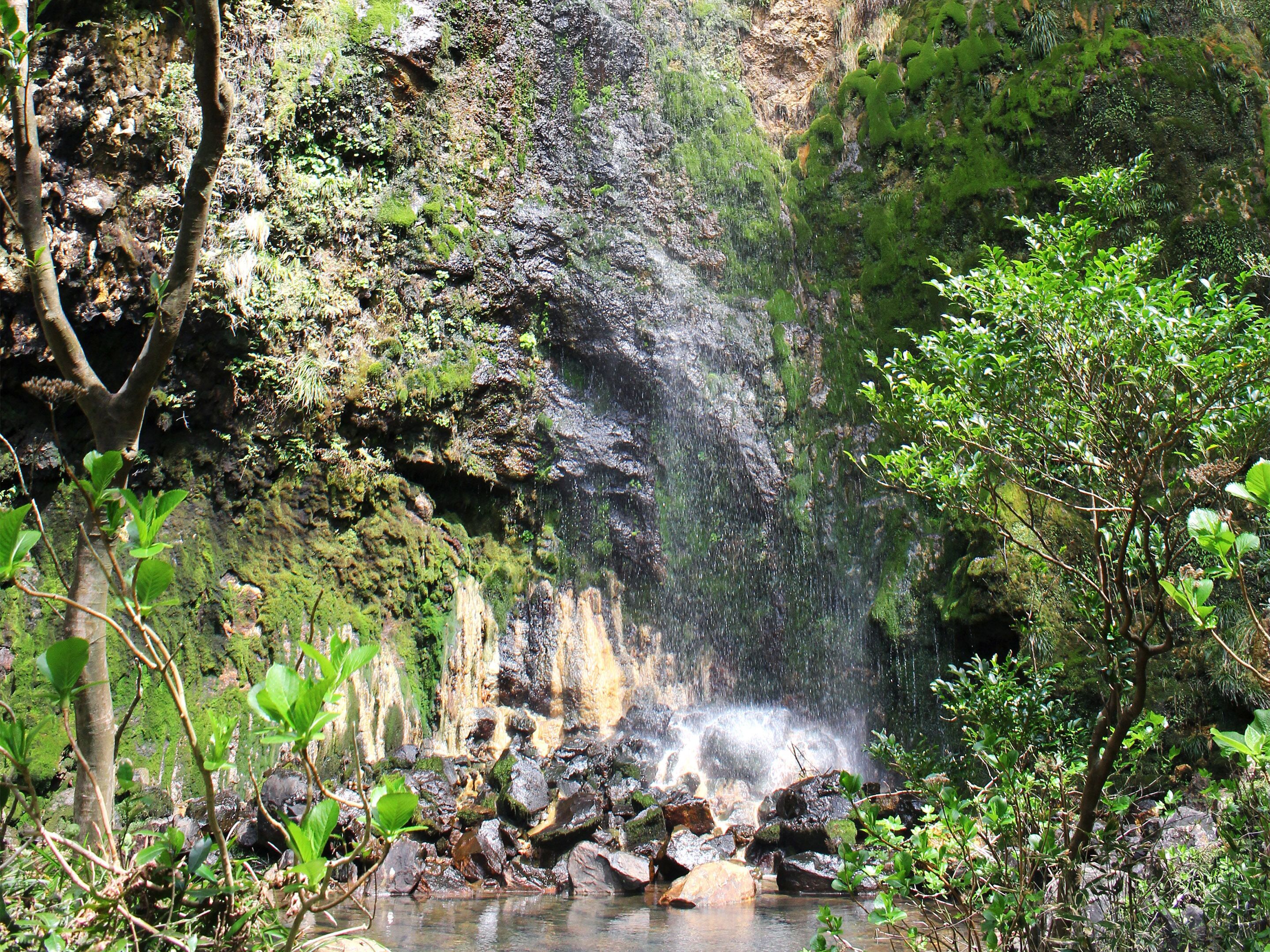 Een natuurlijke waterval omringd door weelderige begroeiing en rotsen.