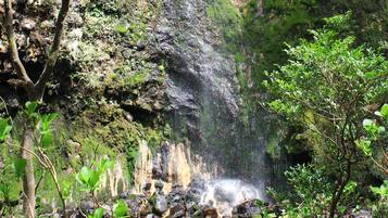 Een natuurlijke waterval omringd door weelderige begroeiing en rotsen.