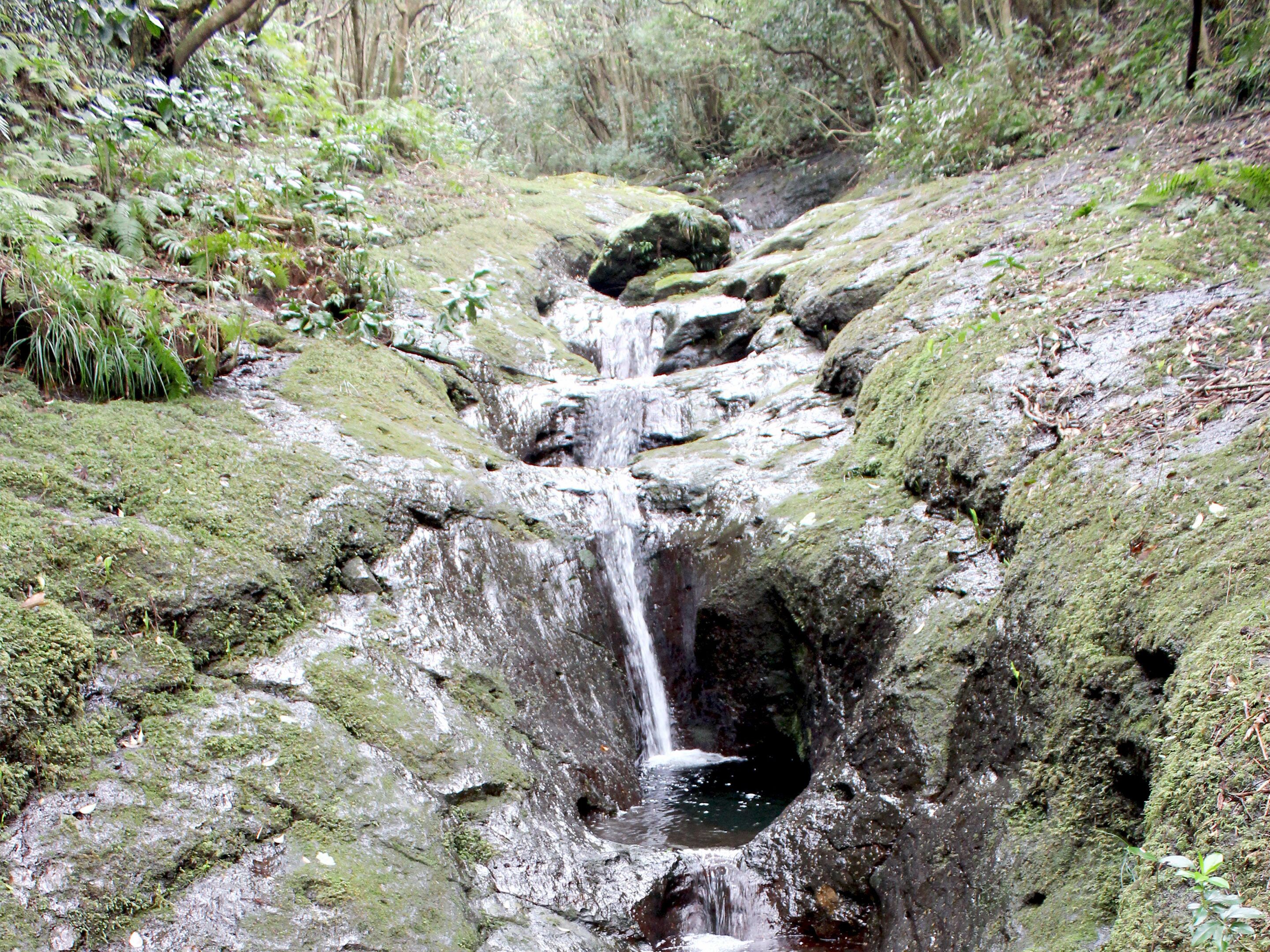 A natural waterfall in a forested area with moss-covered rocks and surrounding greenery.