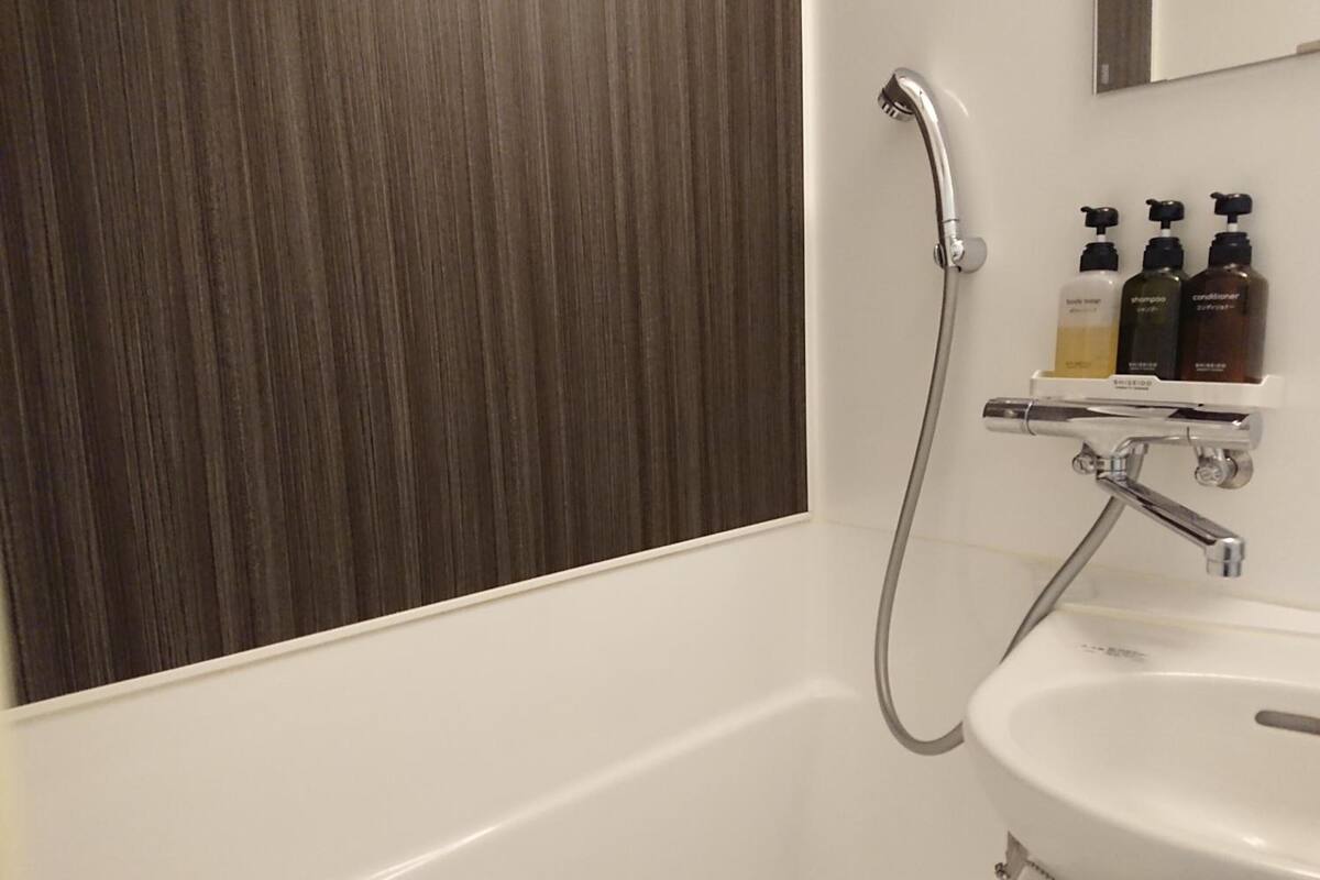 combined shower/bathtub, hair dryer, electronic bidet, towels