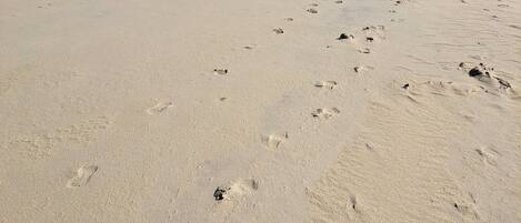 A sandy beach with footprints and a rocky breakwater in the background.