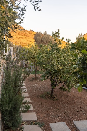 Property grounds - Evgoro vrahos villa , private pool (Agia Galini)