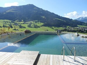 A wooden deck leading to a clear pool with a mountain backdrop.