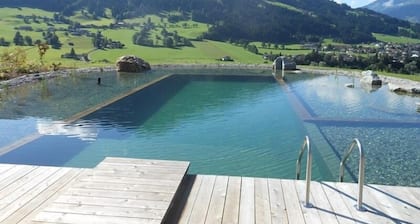 Farm on a sunny plateau * Large apartment * 10-12 pers.* NEW * swimming pond