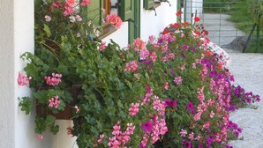 A building with green shutters, a potted plant with pink flowers, and a stone pathway.