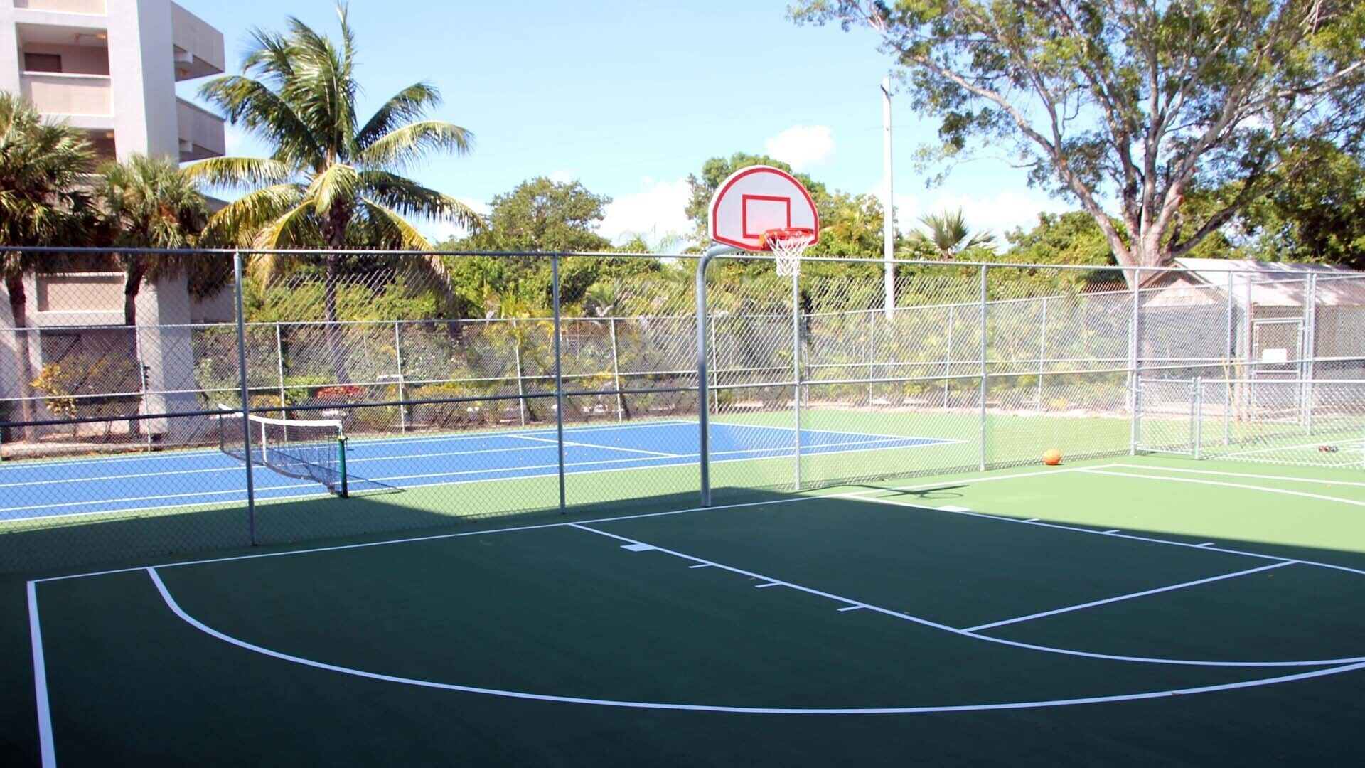 Quadra de basquete ao ar livre, com rede, cercada por uma grade e palmeiras.