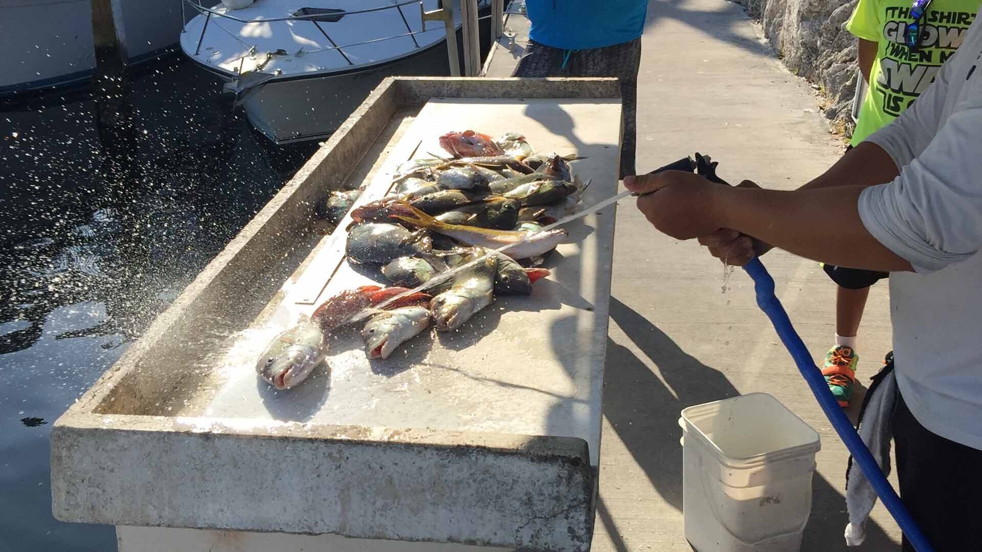 Iemand die vis aan boord van een boot behandelt.