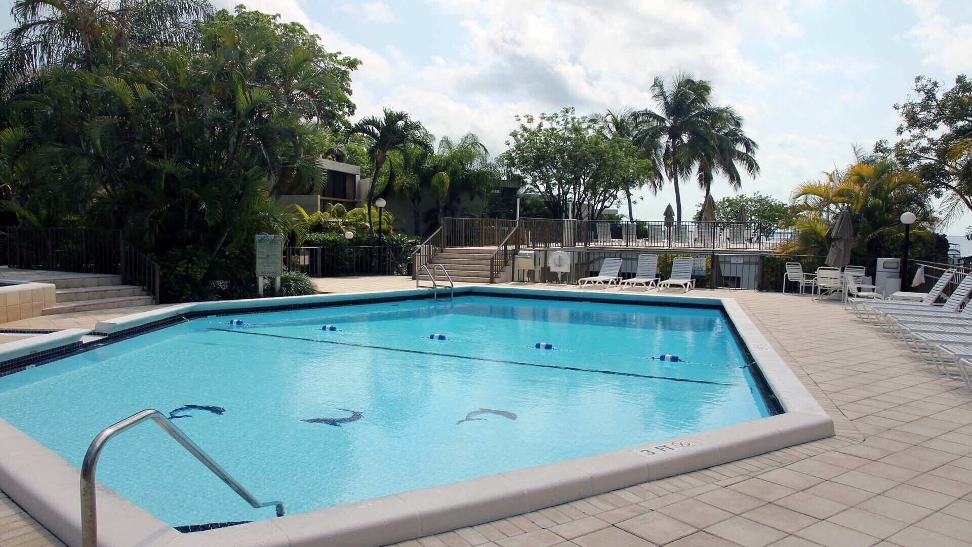 Une piscine rectangulaire avec des couloirs délimités, entourée de chaises longues et de palmiers.