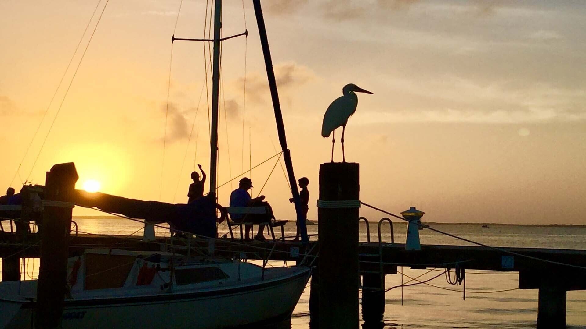 A boat docked at a pier with a person standing on the dock and a bird perched on a post.