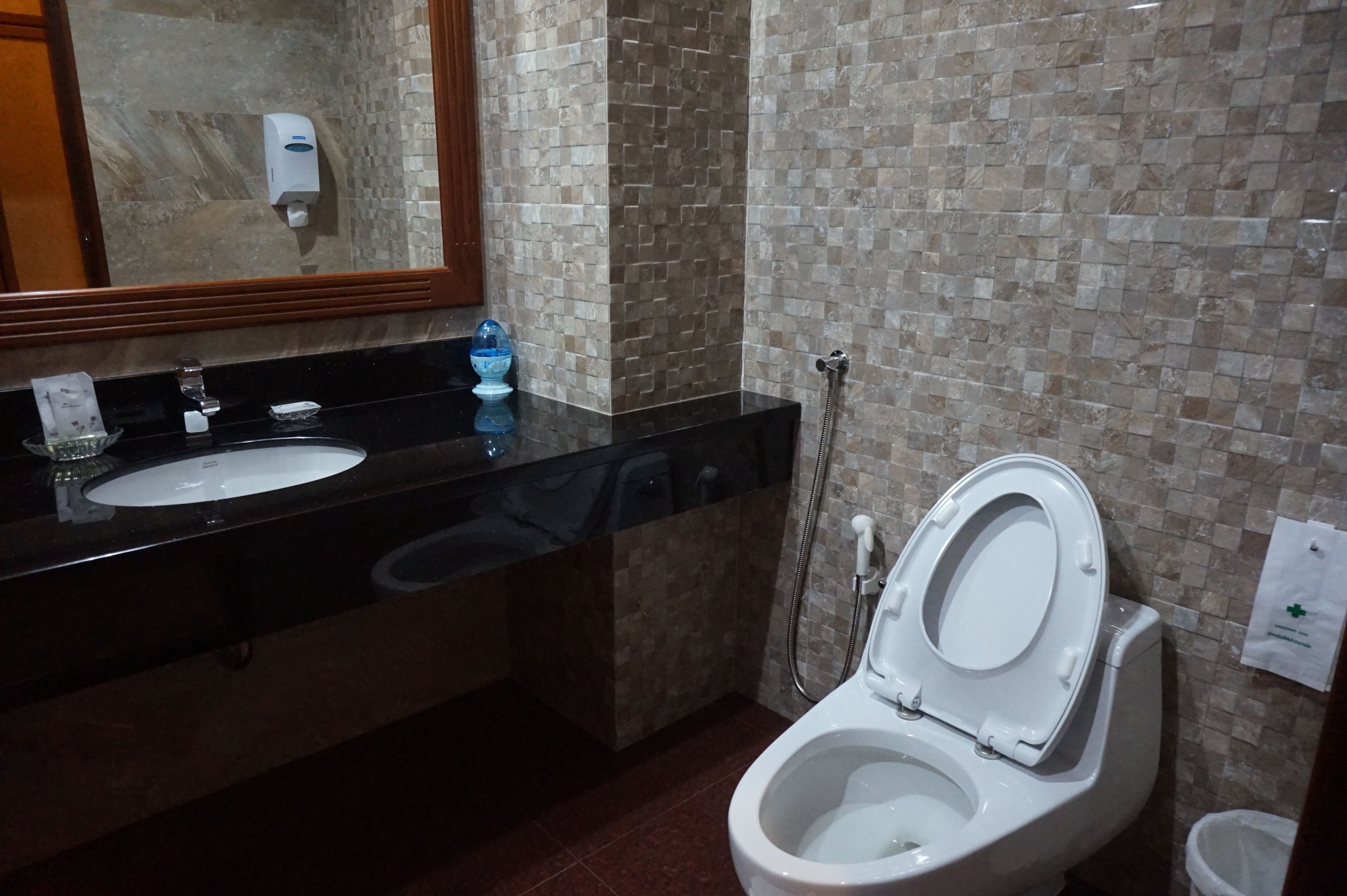 deluxe double room | bathroom | shower, free toiletries, hair dryer, slippers