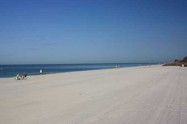 On the beach, sun loungers - PRIME STUDIO SAVE. UPSCALE BEACHFRONTS. SUN,SURF&SAND, TOWN 2 BLOCKS, PKG,CHAIRS (Madeira Beach)