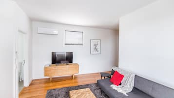 TV layar datar dan Netflix