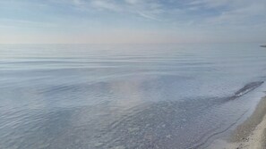 Plage à proximité, chaises longues, serviettes de plage