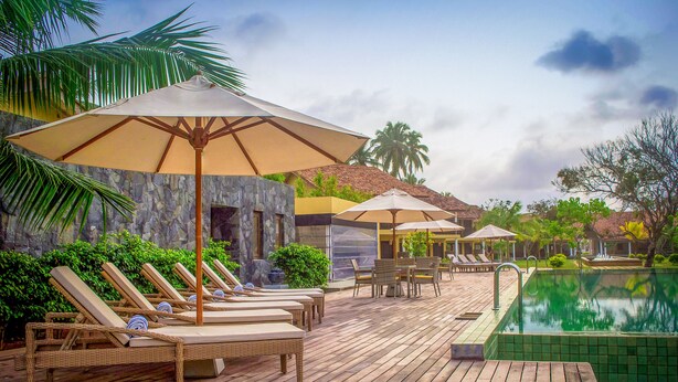 Une terrasse en bois avec des chaises longues et des parasols, une piscine et des palmiers.