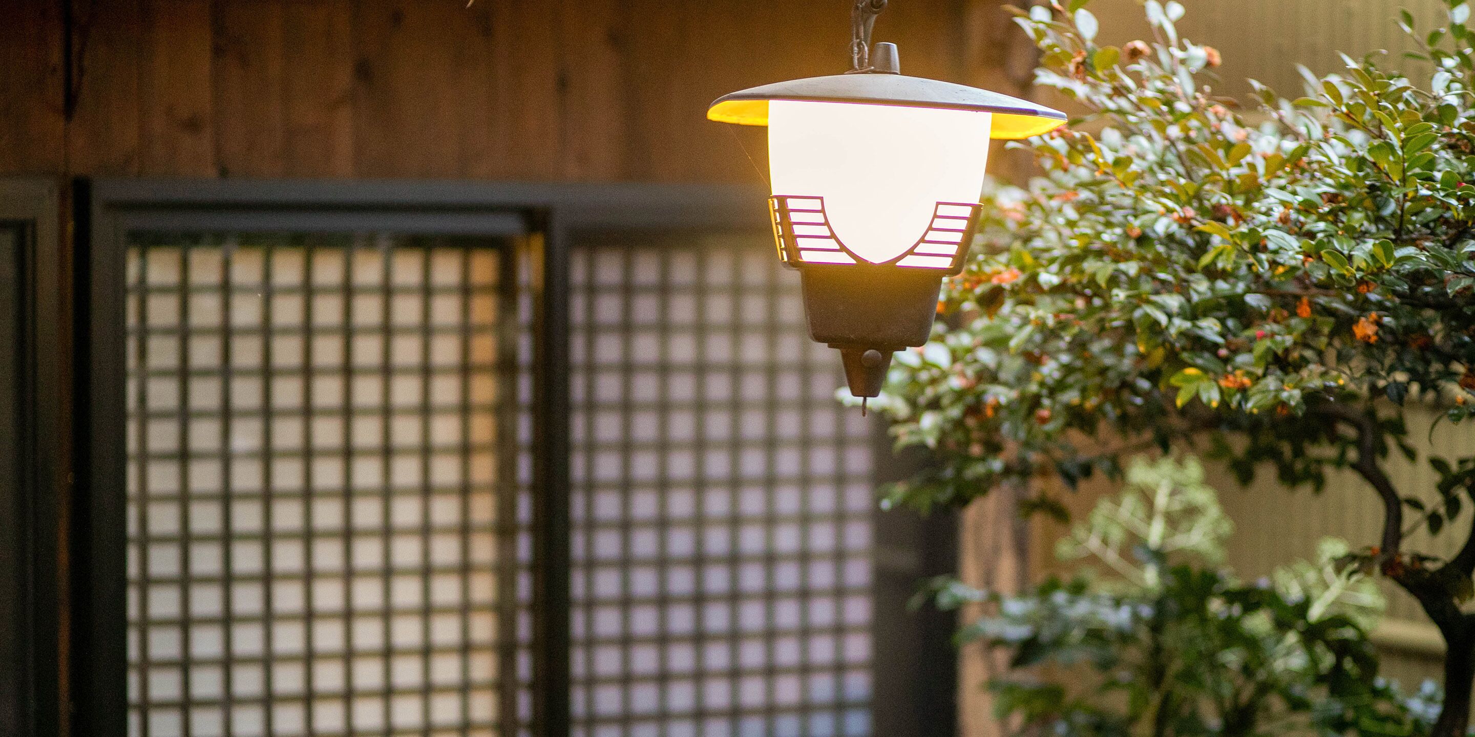 A hanging light fixture with a grid pattern in the background.