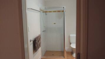 Un petit espace douche fermé, doté d’une porte en verre, une serviette accrochée à la poignée de la porte, et des toilettes visibles sur la droite.