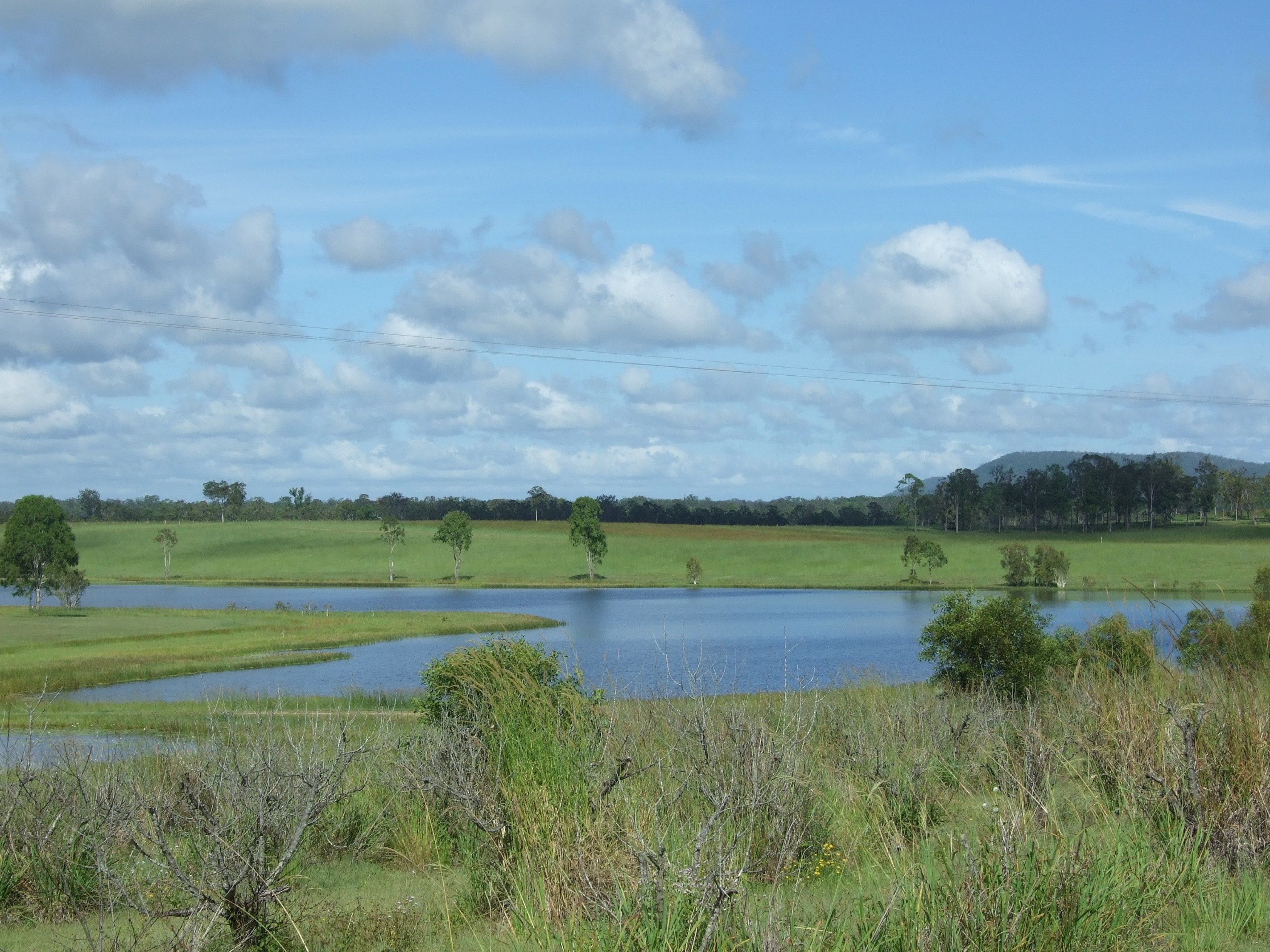 Een landschap met een groot wateroppervlak, grasvelden en bomen.