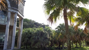 A building with classical architecture, including columns and a dome, surrounded by lush palm trees and greenery.