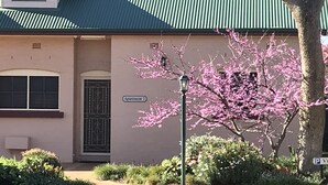 A building with a green roof, a sign reading "Apartment 7", and a tree with pink blossoms. - Country Apartments (Dubbo)