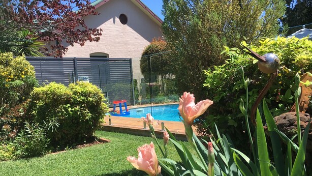 A backyard with a swimming pool, a house, and various plants. - Country Apartments (Dubbo)