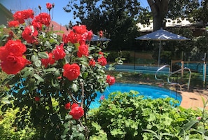 Garden - Country Apartments (Dubbo)