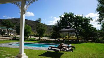 Outdoor pool, pool umbrellas, sun loungers
