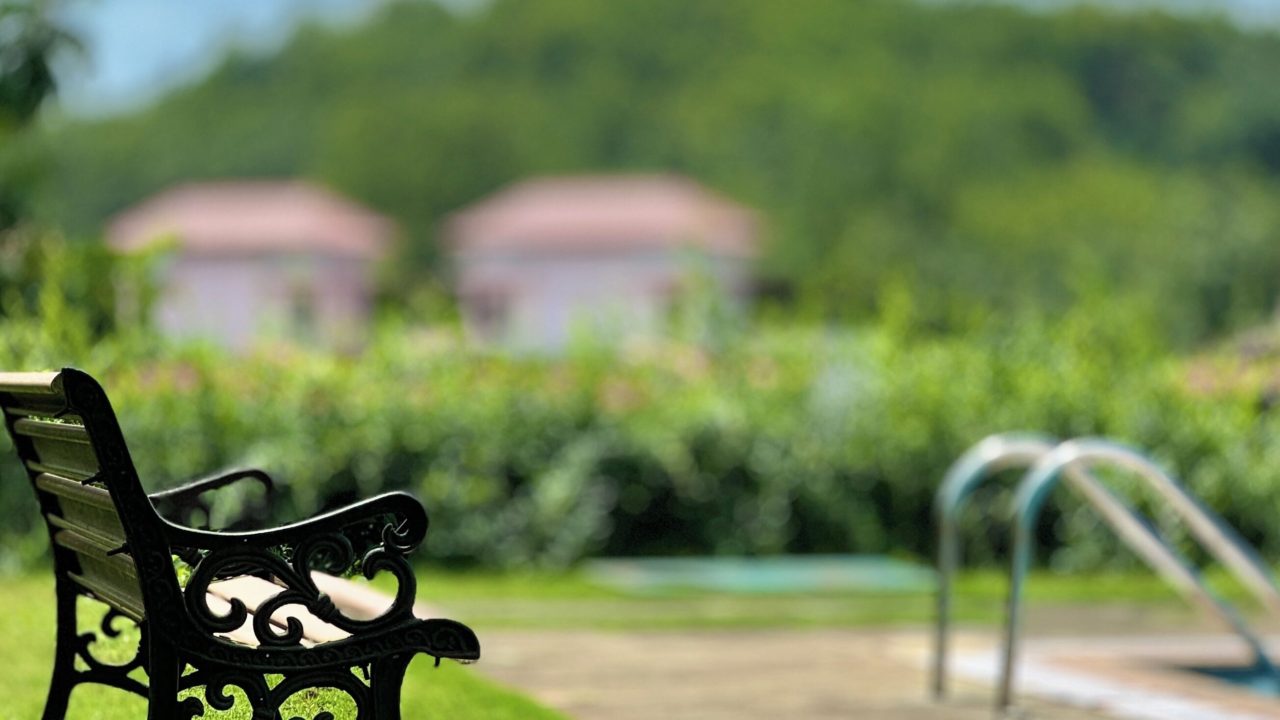 A park bench with a metal railing, surrounded by greenery and a pathway.