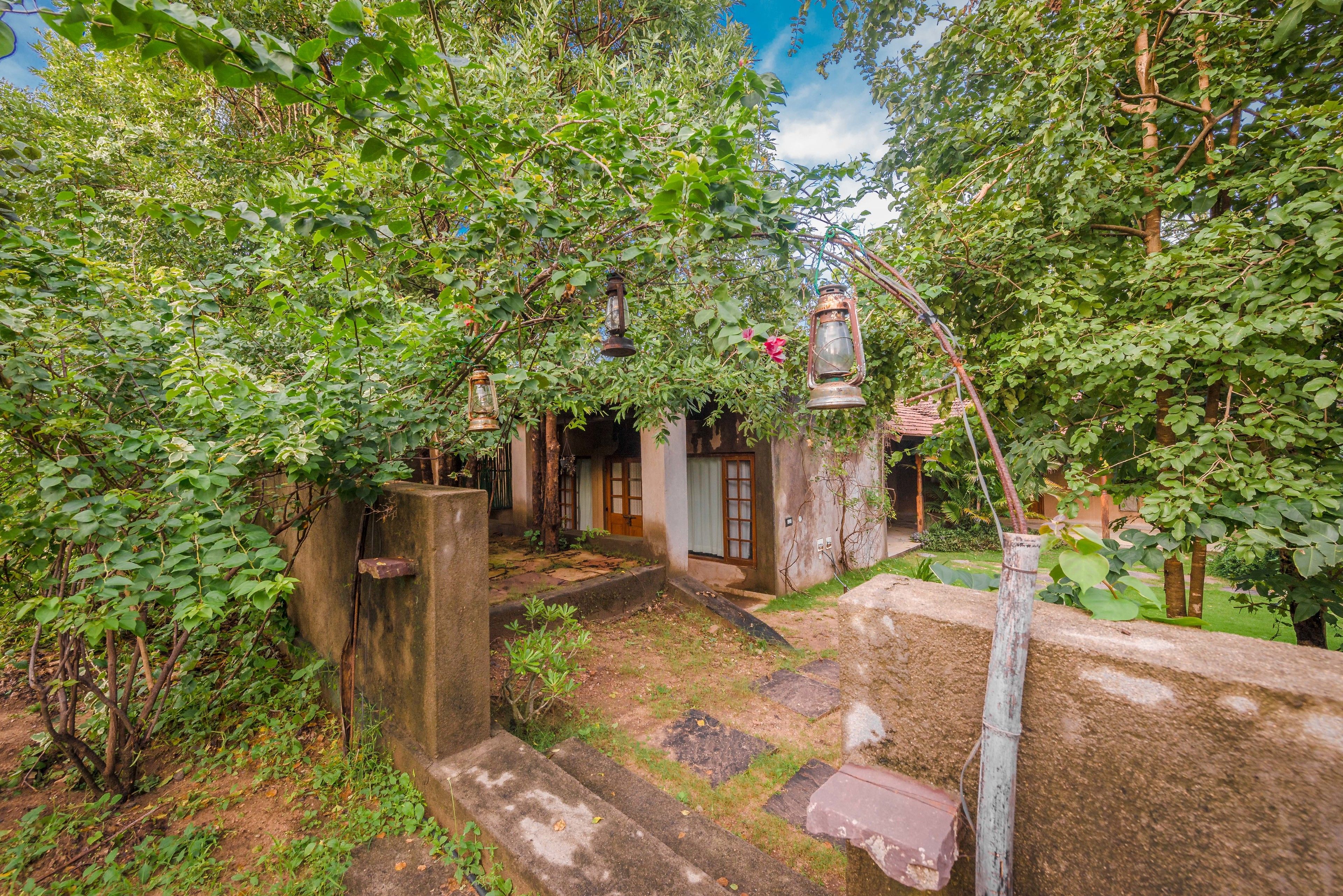 A rustic garden with stone steps leading to a wooden door, surrounded by lush greenery and hanging lanterns.