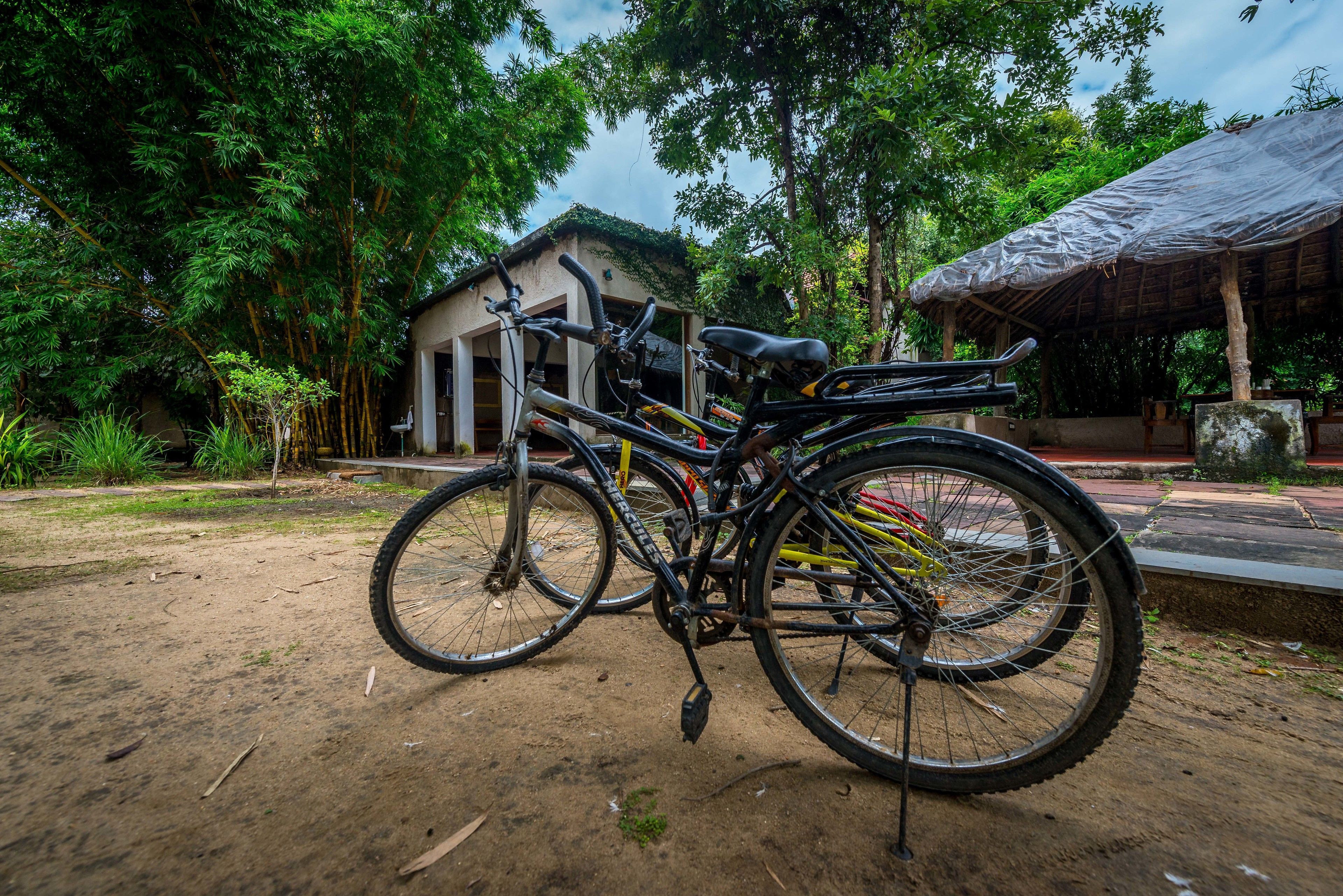 A bicycle parked on a dirt path with a building and trees in the background.