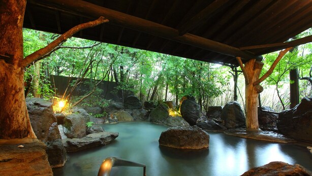 A tranquil indoor water feature with a wooden structure overhead, surrounded by rocks and trees. - Yamashinobu (Minamioguni)