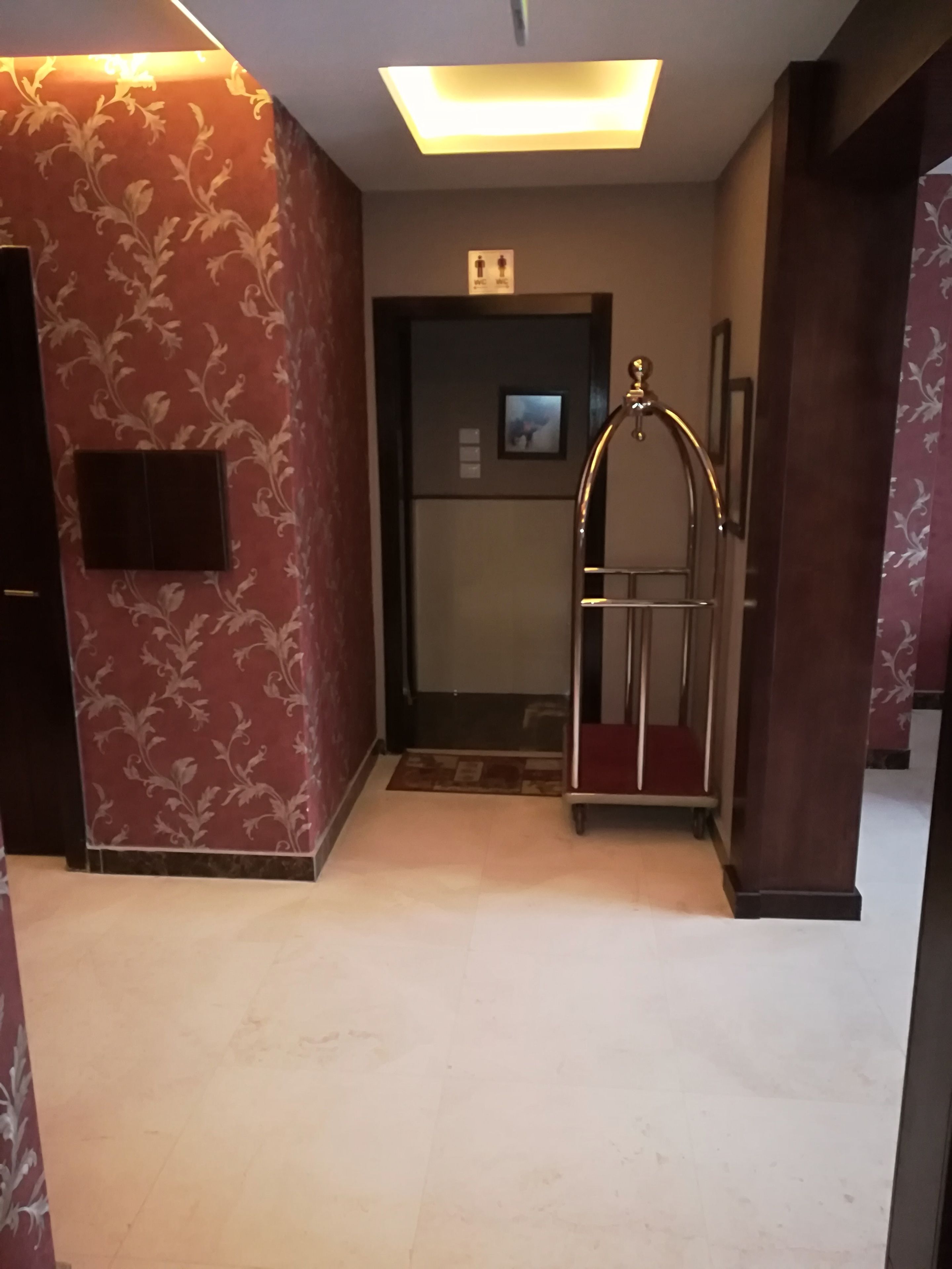 A hallway with patterned wallpaper, a ceiling light, a door with a picture, and a small elevator.