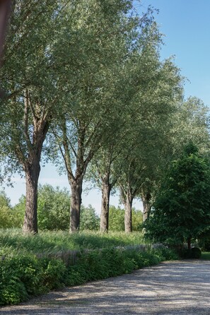 View from property - B&B Scheldekant (Oudenaarde)