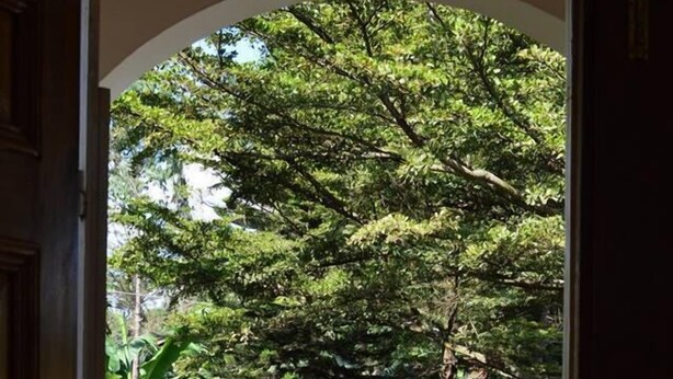 Double Room, Shared Bathroom, Garden View | View from room - Villa Poa (Arusha)
