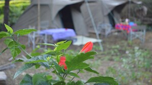 Tent | In-room safe, rollaway beds (surcharge), bed sheets - Villa Poa (Arusha)