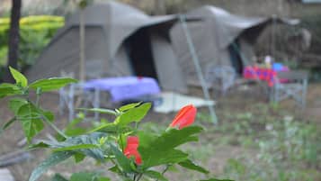 Tent | In-room safe, rollaway beds, bed sheets