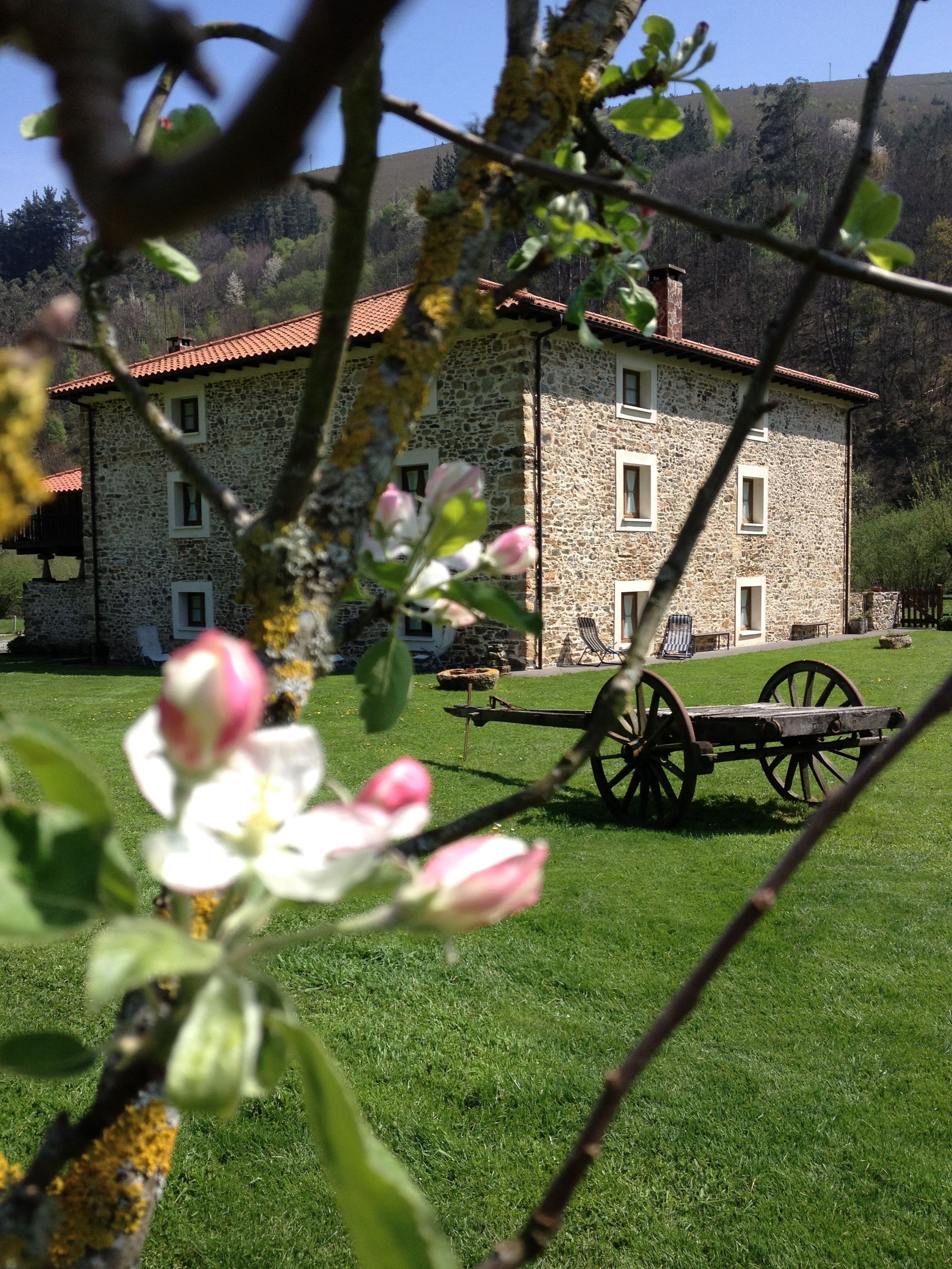 Khuôn viên nơi lưu trú