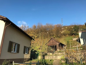 Udendørsområde